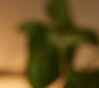 Inoventyx